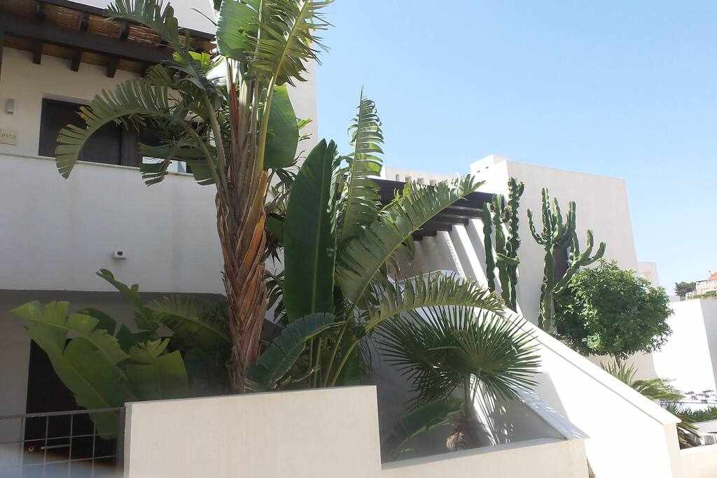 Macenas  VII, Lovely 2/3 Bedroom: Apartment for Rent in Mojácar, Almería
