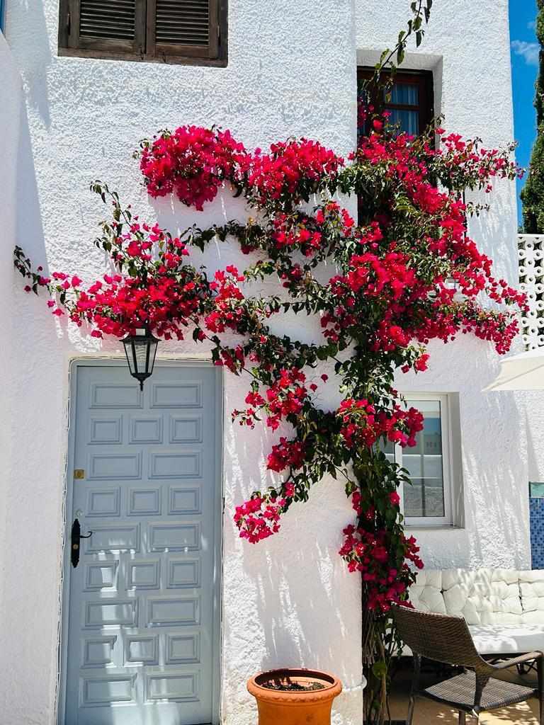 Casa ideal para compartir en familia: Villa en alquiler en Mojácar, Almería