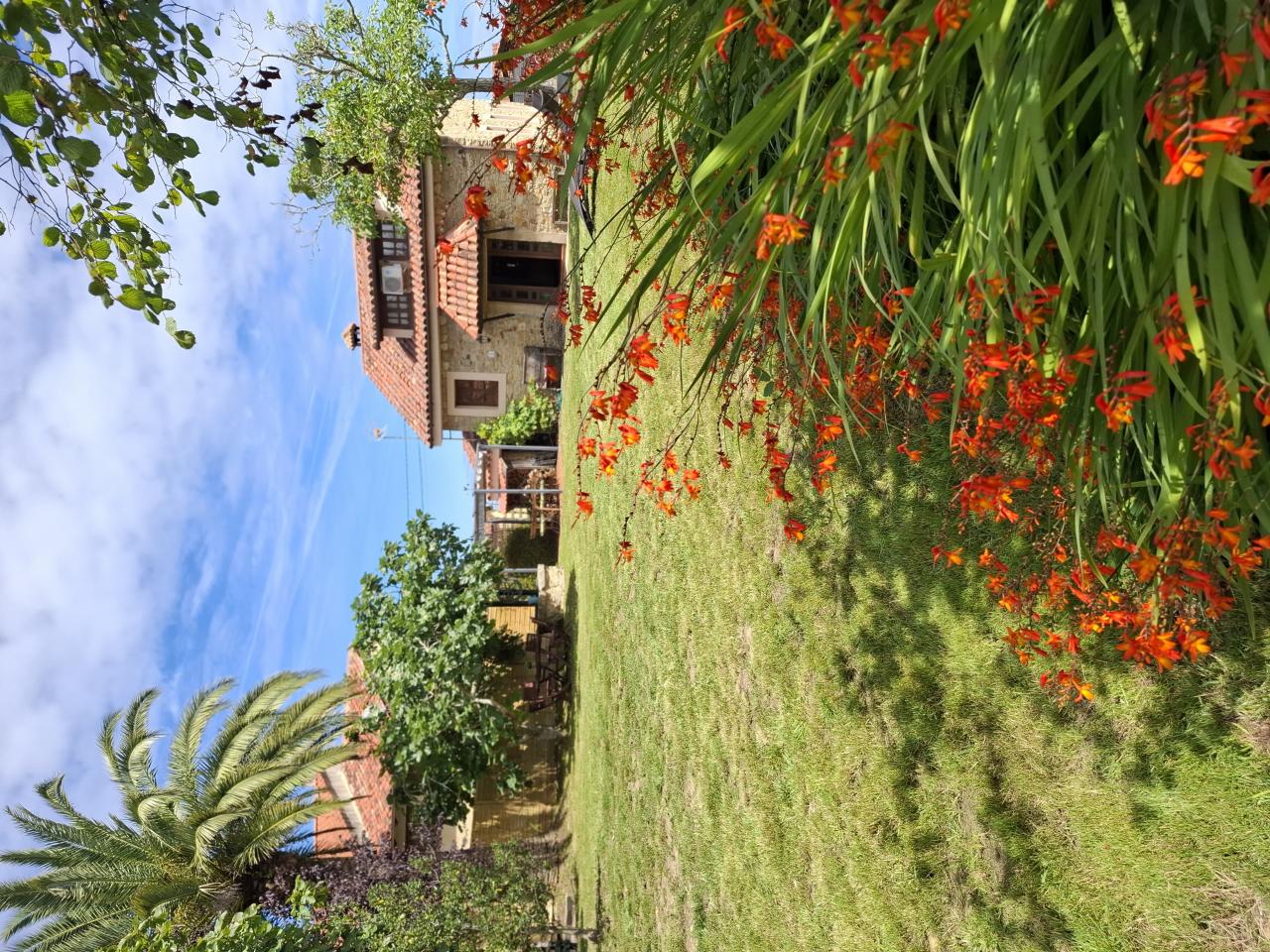 Llagar De Torretejera