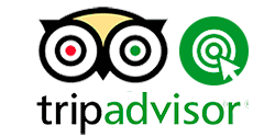 tripadvisor