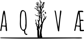 icon-256×256
