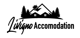 icon-256×256