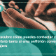 contacto airbnb