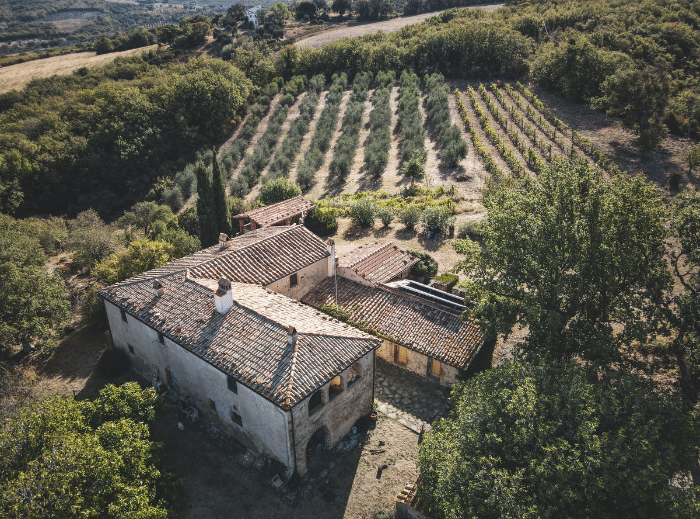 Resto de contenido 84